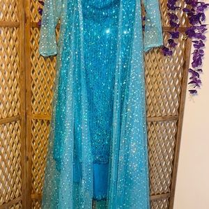 Elsa costume dress